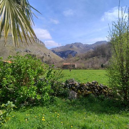 Amplia Y Comoda Casa De Piedra Con Porche Y Jardin San Roque de Ríomiera エクステリア 写真