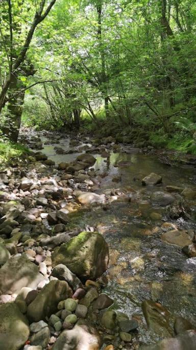 Amplia Y Comoda Casa De Piedra Con Porche Y Jardin San Roque de Ríomiera エクステリア 写真
