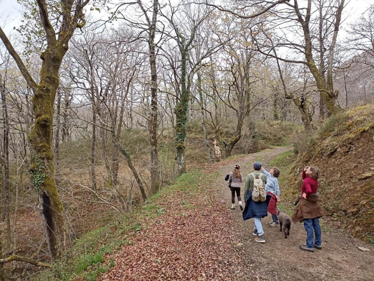 Amplia Y Comoda Casa De Piedra Con Porche Y Jardin San Roque de Ríomiera エクステリア 写真