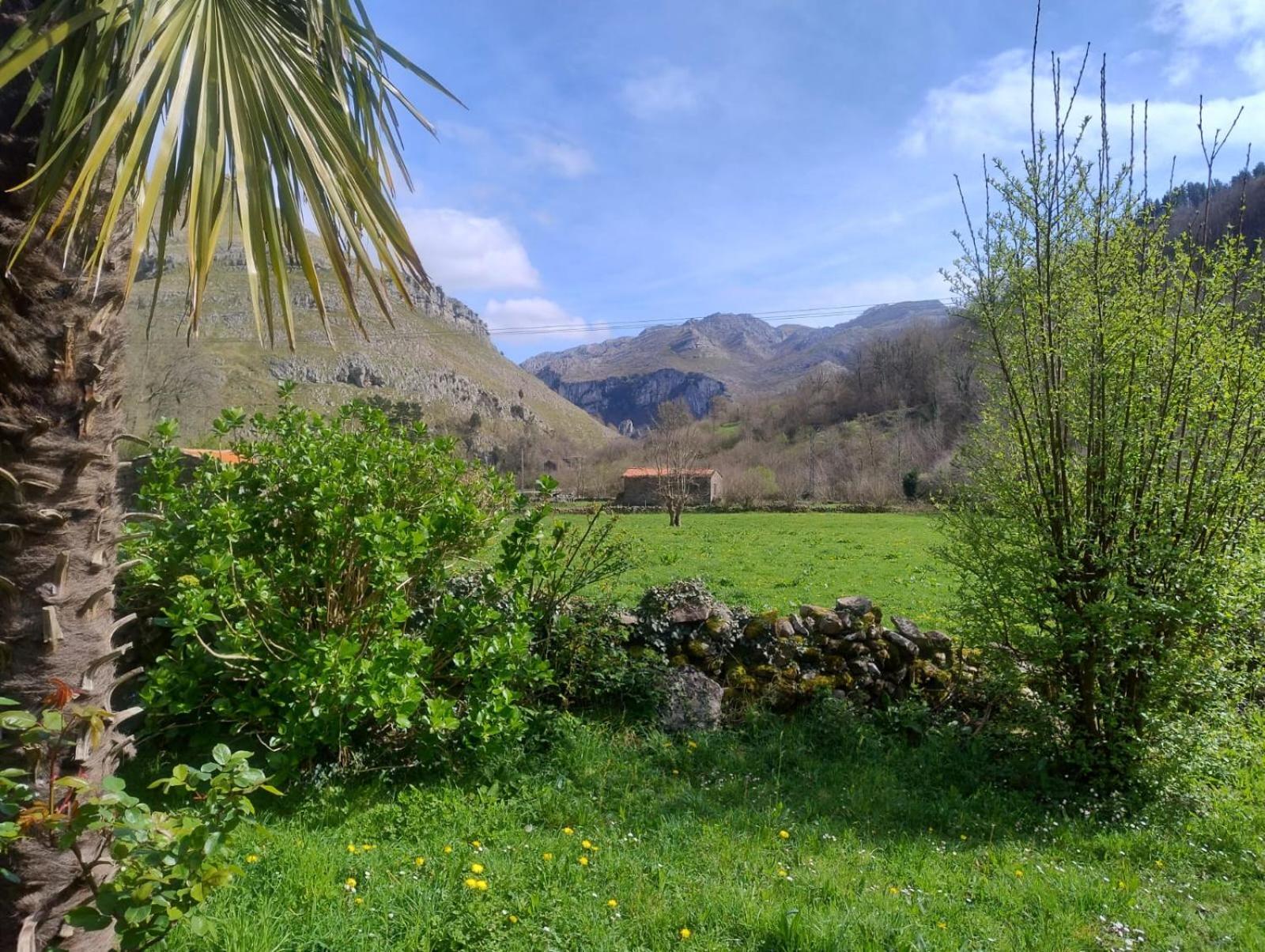 Amplia Y Comoda Casa De Piedra Con Porche Y Jardin San Roque de Ríomiera エクステリア 写真
